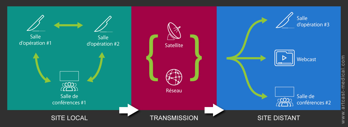 schema liaison