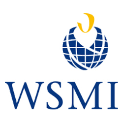 WSMI